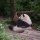 пандоминимум: как увидеть и потрогать панду